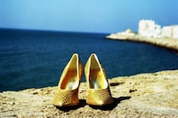 Catching Flies with Honey by Joy Gregory 