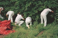 Utterly Lazy and Inattentive by Martin Parr 