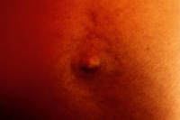 New Genesis by Abdulhamid Kircher