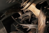 Rust Never Sleeps, Rick Owens Furniture, Mich&#232;le Lamy