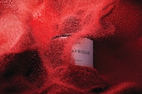 Bal d’Afrique: A Scent in Motion