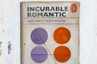 Incurable Romantic Seeks Dirty Filthy Whore, by Harland Mill