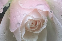 Lonley City by Jerry Hsu