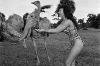 Bettie Page, Africa USA, Boca Raton, Florida, 1954