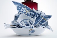 Dries Van Noten x Bouke de Vries