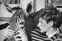A young Lucian Freud with a zebra head