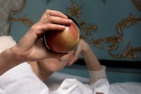 First Trip to Bologna 1978 / Last Trip to Venice 1985 