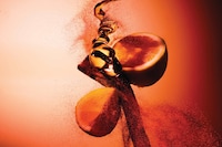 Bal d’Afrique: A Scent in Motion