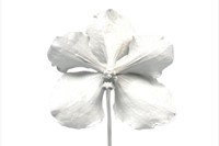 Orchid by Marc Quinn