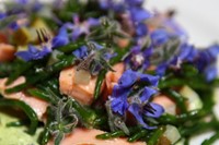 Smoked trout, borage flowers and samphire