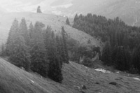 Fidan Novruzova Autumn/Winter 2026