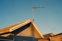 No Birds by Adam Peter Johnson 