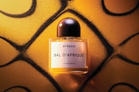Bal d’Afrique: A Scent in Motion