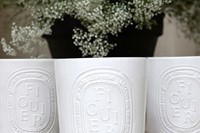 Diptyque Indoor/Outdoor Candles in Figuier