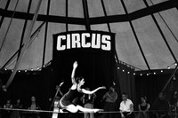 From Circus by Giuliano Plorutti