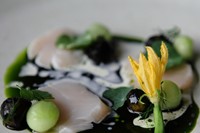 Scallops, cucumber, and dill ash