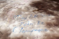 Scott Campbell, May all your pain be champagne (Detail), 201