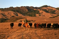 From Hearst Ranch: Family, Land and Legacy