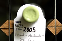 Batard-Montrachet 2005 in the Rex Whistler wine cellar