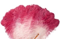 Folding fan, mount in ostrich feathers dyed in degrade, tort