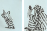 Out of Date: Pola Pan 1984-1996 by Mark Borthwick