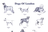 Dogs of London, 2008