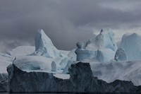 Icebergs from Sermeq Kujalleq Glacer