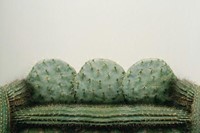 Cactus sofa