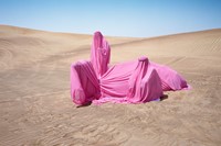 Still Life with Camel, 2016, United Emirates, (c) 