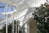 Restored conservatory at Chiswick House