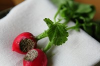 Radishes with seaweed butter