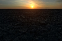 Arthur Jafa, Corps et &#226;mes, Bourse de Commerce Pinault 