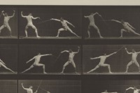 Fencing. (Movements. Male). Plate 349, 1887 1887, Eadweard M