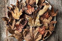 New Nordic: Cuisine, Aesthetics and Place