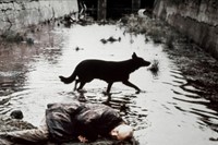 Still from &#39;Stalker&#39;, directed by Andrei Tarkovsky