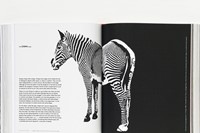 The Art of Looking Sideways, published by Phaidon Press 2001