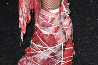 Lady Gaga&#39;s meat shoes
