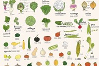Vegetable Chart, 2012