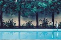 Hockney Painted This Pool, 1980