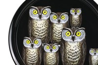 Owl tray by Fornasetti