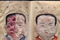 Hand-drawn and textured pages from a rare Japanese treatise 