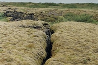 New Nordic: Cuisine, Aesthetics and Place