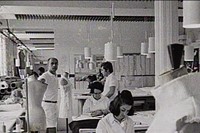Still from the Courr&#232;ges archive