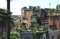 Roof gardens in Rome