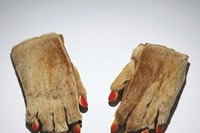 Meret Oppenheim, Fur Gloves, 1936