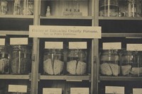 Photo cabinet of &#39;Brains of Educated and Orderly Persons&#39;