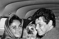 Singer Eddie Fisher and actress Elizabeth Taylor share the l