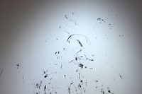 Kim Gordon, Tight&#39;s painting, 303 Gallery 2012