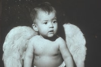 Out of Date: Pola Pan 1984-1996 by Mark Borthwick