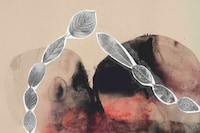 Atropa by Sterling Ruby Artist Garden Los Angeles